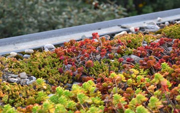 the cost of Park Bottom green roof installation