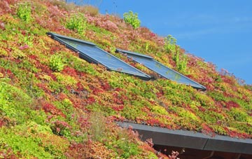 Park Bottom living roof systems